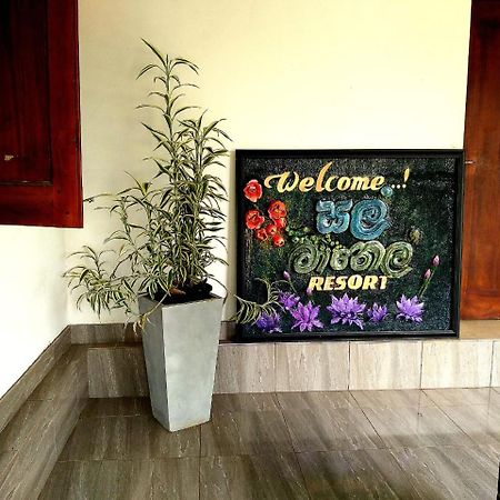 Salmanel Resort Ratnapura Exterior foto